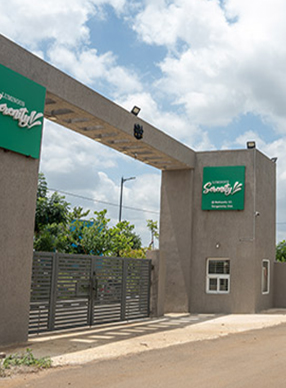 Where Light Welcomes Home